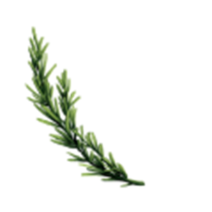 Rosemary Rosemary