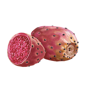 Ndg Ingredient Prickly Pear 300X300 Ndg Ingredient Prickly Pear 300X300
