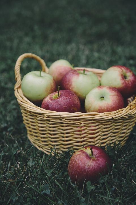 Apple Basket Apple Basket
