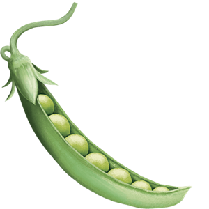 Seedlip Ingredient Peas Seedlip Ingredient Peas